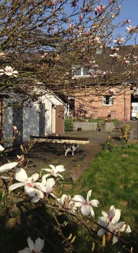 Ferienwohnung Mit Garten In Koeln Extérieur photo